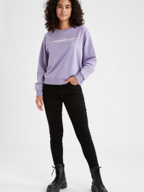 Свитшот DeFacto модель V4542AZ-PR315 Фото