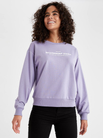 Свитшот DeFacto модель V4542AZ-PR315 Фото