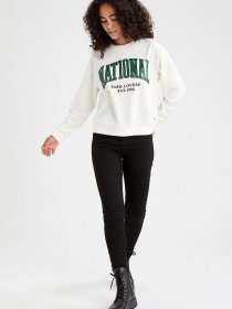 Свитшот DeFacto модель V4541AZ-ER139 Фото