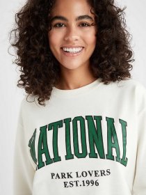 Світшот DeFacto модель V4541AZ-ER139 Фото