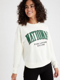 Світшот DeFacto модель V4541AZ-ER139 Фото