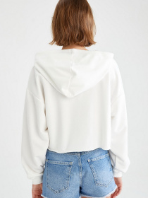 Худи DeFacto модель V4551AZ-ER139 Фото