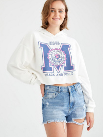 Худи DeFacto модель V4551AZ-ER139 Фото