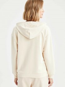 Худі DeFacto модель V2708AZ-BG689 Худі DeFacto модель V2708AZ-BG689 Фото