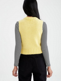 Жилет DeFacto модель V1809AZ-YL15 Фото