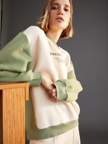 Свитшот DeFacto модель V6519AZ-ER120 Фото