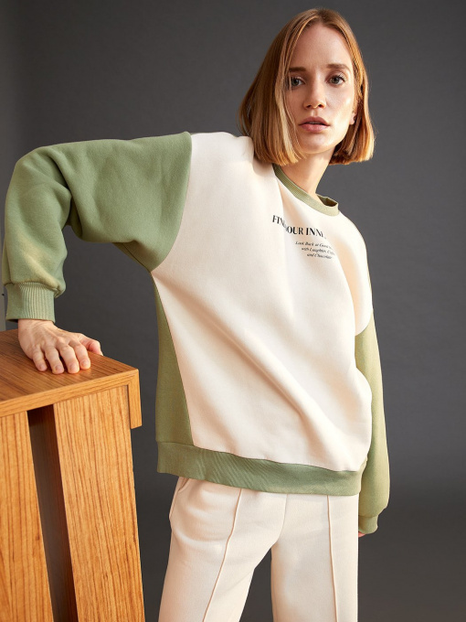 Світшот DeFacto Модель V6519AZ-ER120 Фото