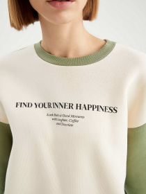 Свитшот DeFacto модель V6519AZ-ER120 Свитшот DeFacto модель V6519AZ-ER120 Фото