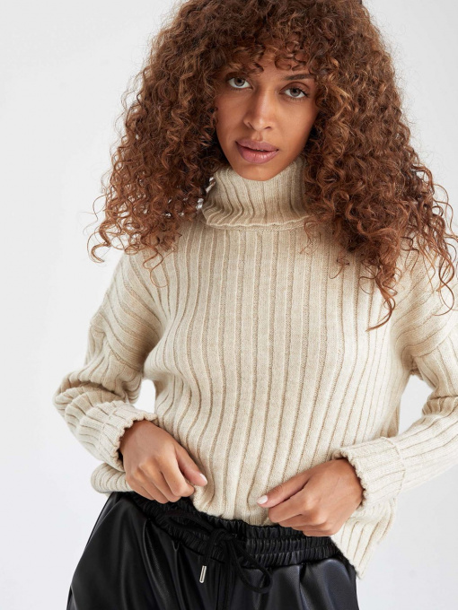 Свитер DeFacto модель L0986AZ-BG238 Фото