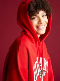 Худі DeFacto модель V8679AZ-RD286 Фото