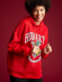 Худі DeFacto модель V8679AZ-RD286 Фото