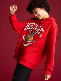 Худі DeFacto модель V8679AZ-RD286 Фото