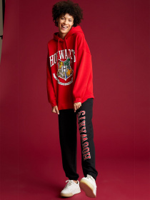 Худи DeFacto модель V8679AZ-RD286 Фото