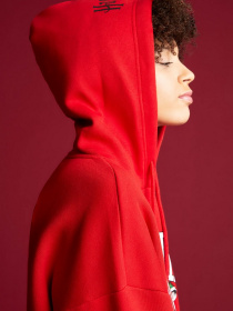 Худи DeFacto модель V8679AZ-RD286 Фото