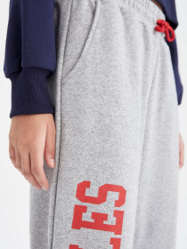 Спортивні штани DeFacto модель V4871AZ-GR210 Фото