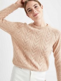 Джемпер DeFacto модель U8881AZ-PN105 Фото