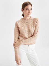 Джемпер DeFacto модель U8881AZ-PN105 Фото