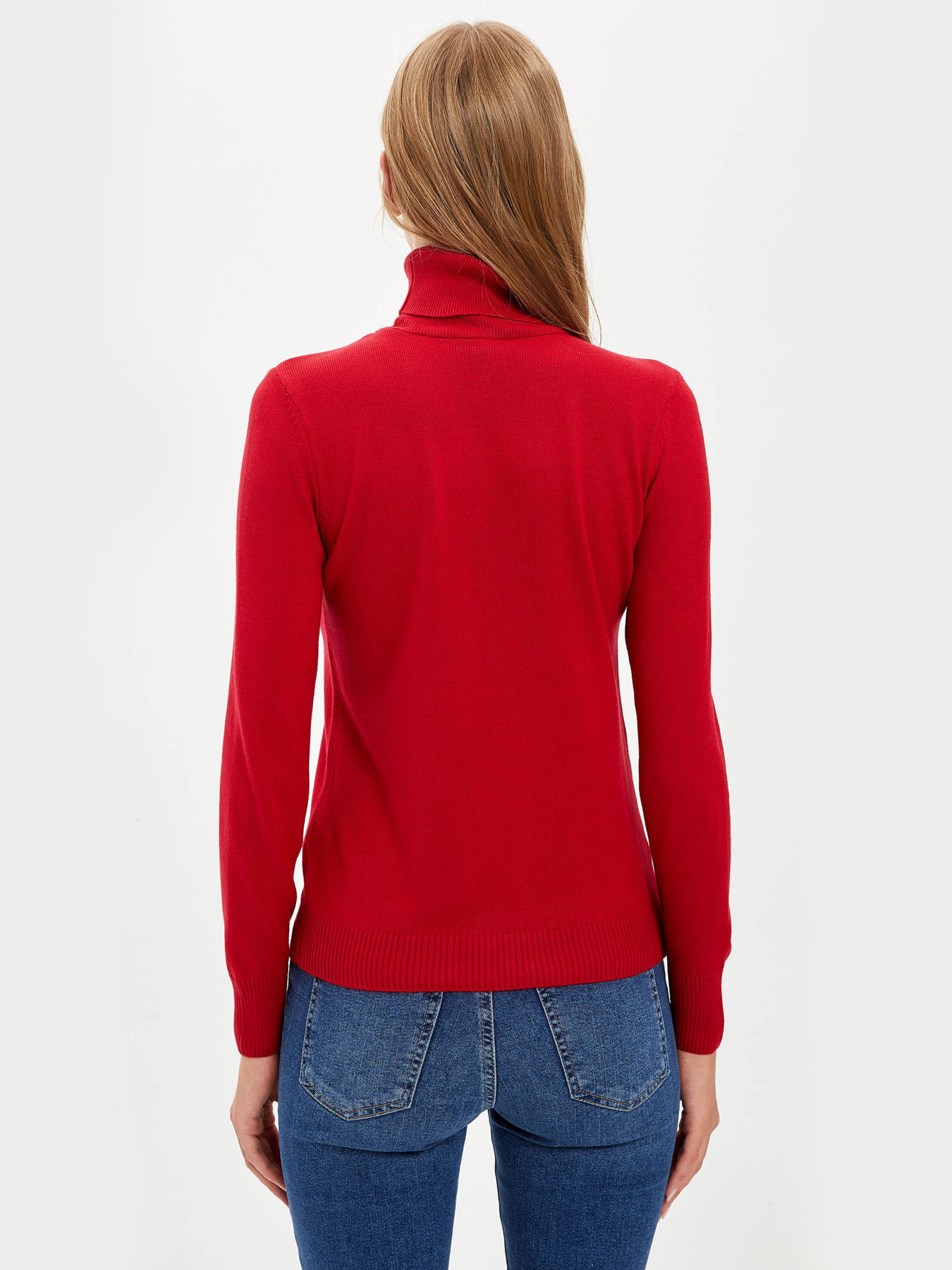 Водолазка DeFacto модель H1651AZ-RD106 Фото