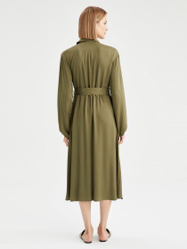 Сукня міді DeFacto модель V8386AZ-KH158 Фото