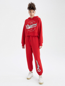 Штаны спортивные DeFacto модель V8265AZ-RD286 Фото