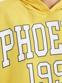 Худи DeFacto модель V4545AZ-YL451 Фото