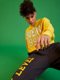 Худи DeFacto модель V4545AZ-YL451 Фото