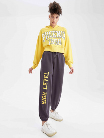 Худи DeFacto модель V4545AZ-YL451 Фото