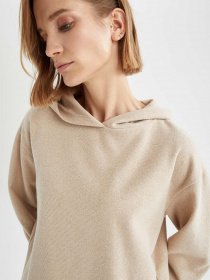 Худи DeFacto модель V5687AZ-BG322 Фото