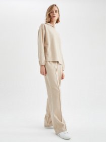 Худи DeFacto модель V5687AZ-BG322 Фото