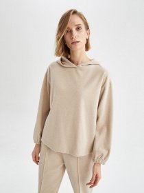 Худи DeFacto модель V5687AZ-BG322 Фото