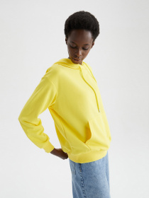 Худи DeFacto модель V2662AZ-YL70 Фото