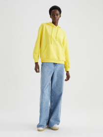 Худи DeFacto модель V2662AZ-YL70 Фото