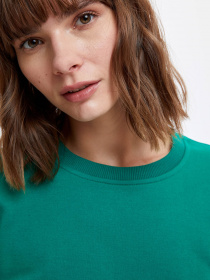 Світшот DeFacto модель N2201AZ-GN154 Фото