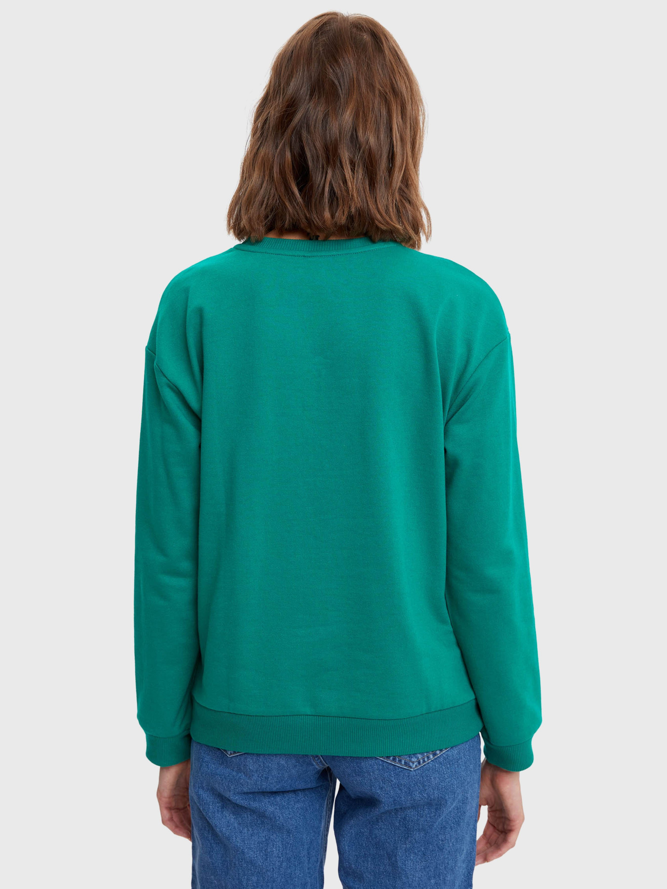 Свитшот DeFacto модель N2201AZ-GN154 Фото