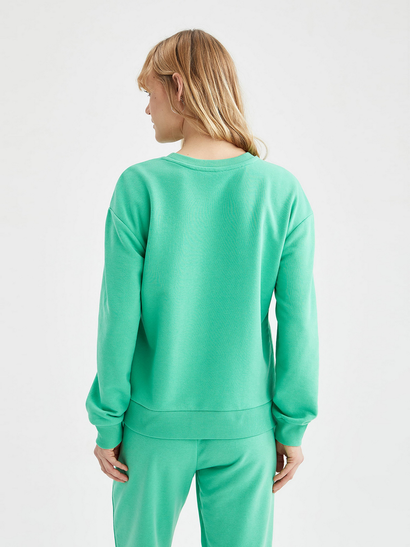 Світшот DeFacto модель V2696AZ-GN326 Фото