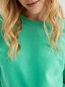 Свитшот DeFacto модель V2696AZ-GN326 Фото