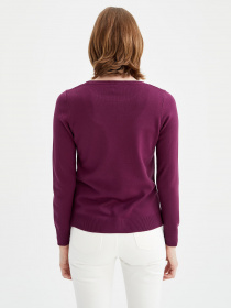 Джемпер DeFacto модель F7091AZ-PR169 Фото