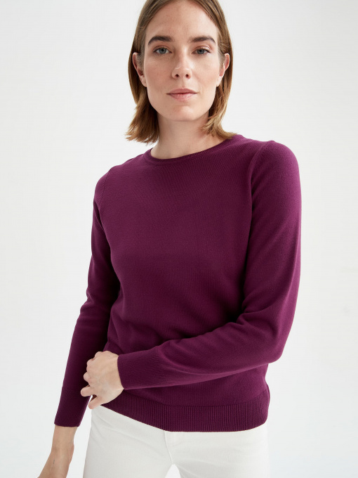 Джемпер DeFacto модель F7091AZ-PR169 Фото