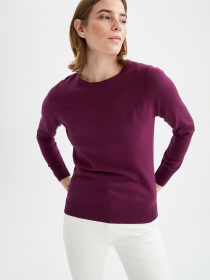 Джемпер DeFacto модель F7091AZ-PR169 Фото