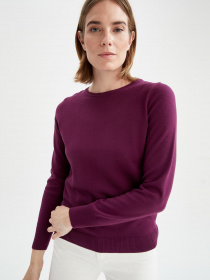 Джемпер DeFacto модель F7091AZ-PR169 Фото