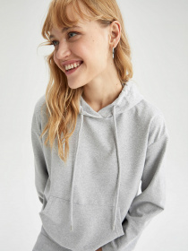 Худи DeFacto модель X0791AZ-GR210 Фото