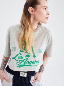 Футболка DeFacto модель X2533AZ-GR210 Фото