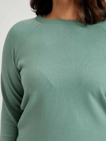 Пуловер DeFacto модель I6913AZ-GN874 Фото