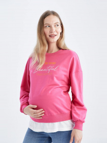 Свитшот DeFacto Світшот модель Y8716AZ-PN214 Фото