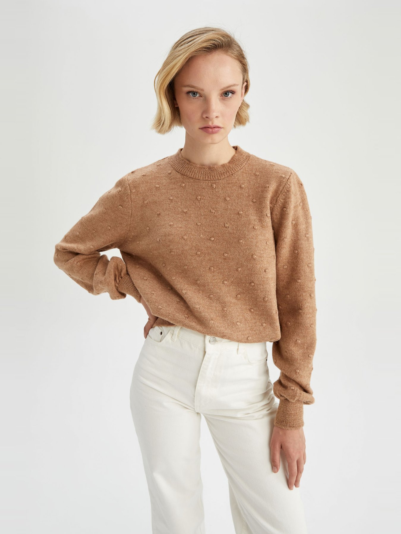 Джемпер DeFacto модель T7654AZ-BG238 Фото