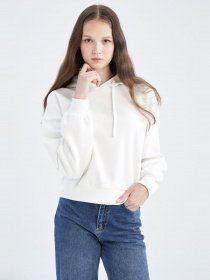 Худи DeFacto модель Y7010AZ-ER85 Фото