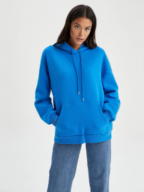 Худи DeFacto модель V5691AZ-BE103 Фото