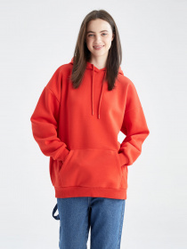 Худі DeFacto модель M3417AZ-RD44 Фото