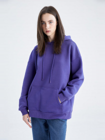 Худи DeFacto модель M3417AZ-PR273 Фото