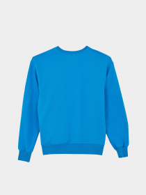 Світшот DeFacto модель Y1250AZ-BE143 Фото